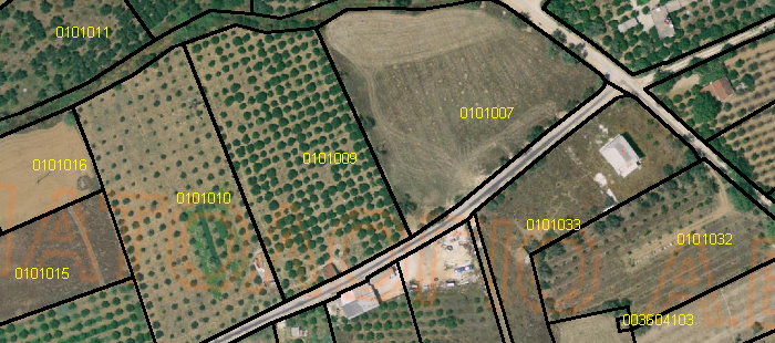 geo-img